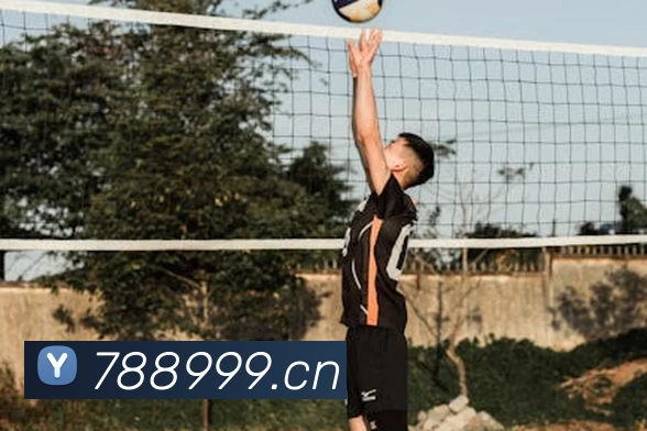 半岛平台在线登录APP 封面图